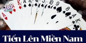 Tiến lên miền Nam