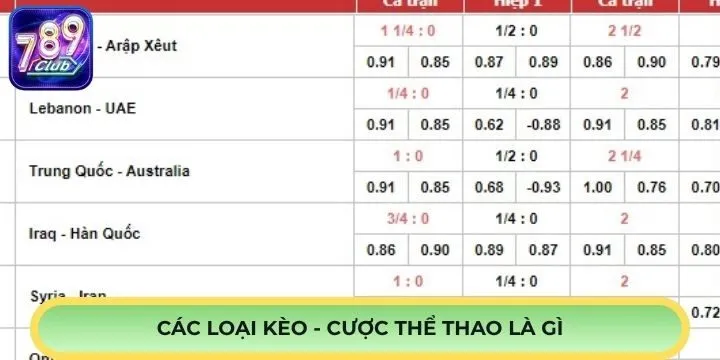 Hình thức phổ biến trong cược thể thao là gì?