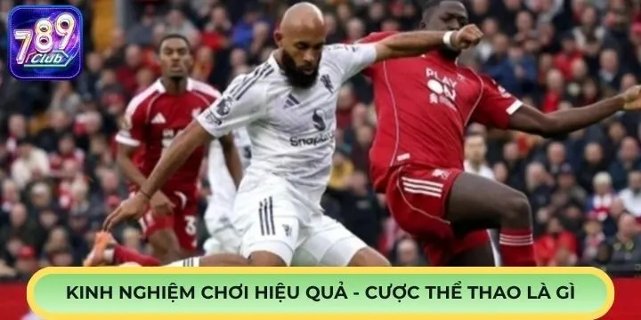 Kinh nghiệm hữu ích khi cược thể thao là gì?