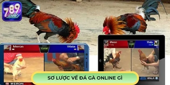 Sơ lược về đá gà online là gì?