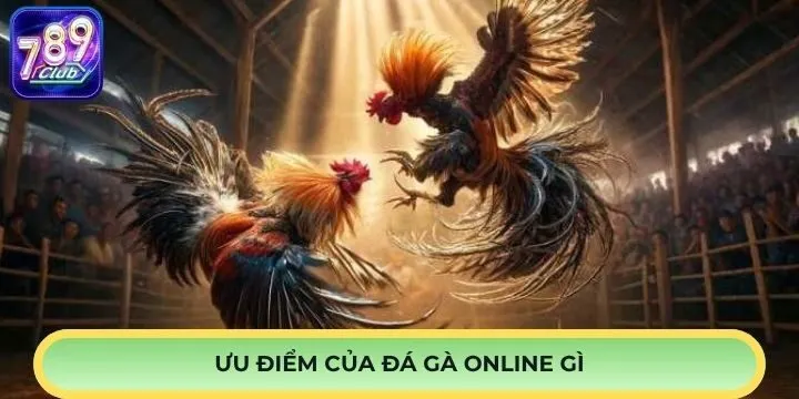 Đá gà online là gì - Những ưu điểm vượt trội của sản phẩm 