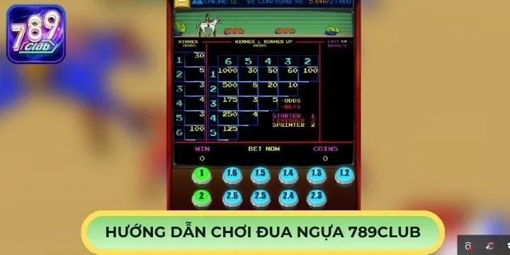 Hướng dẫn cách chơi đua ngựa 789Club cho tân thủ
