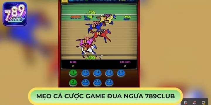 Mẹo chơi đua ngựa 789Club giúp bạn tăng tỷ lệ thắng 